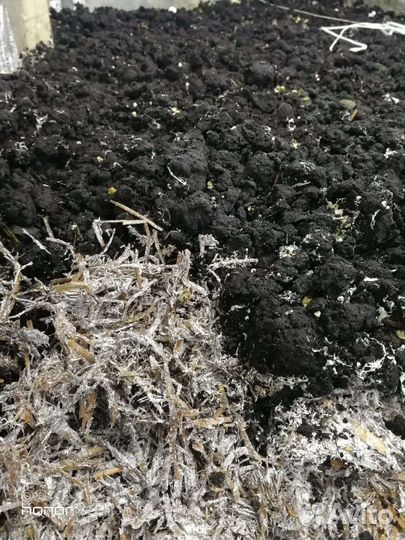 Отработанный компост