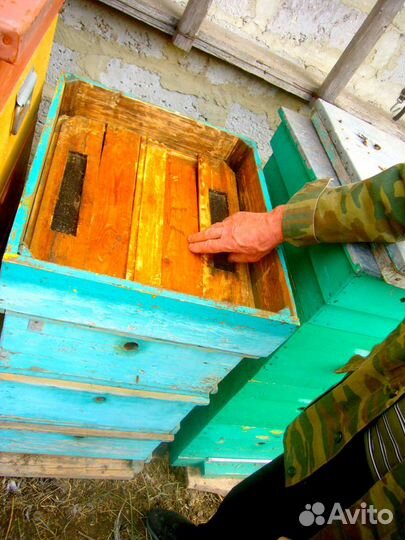 Ульи Дадан 2 корпуса с рамками Б/У в отличном сост
