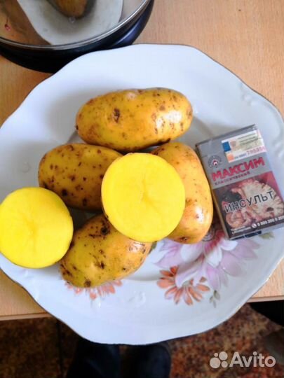 Продам семена картофеля сорт