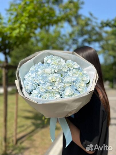 Голубая гортензия, букет из гортензий