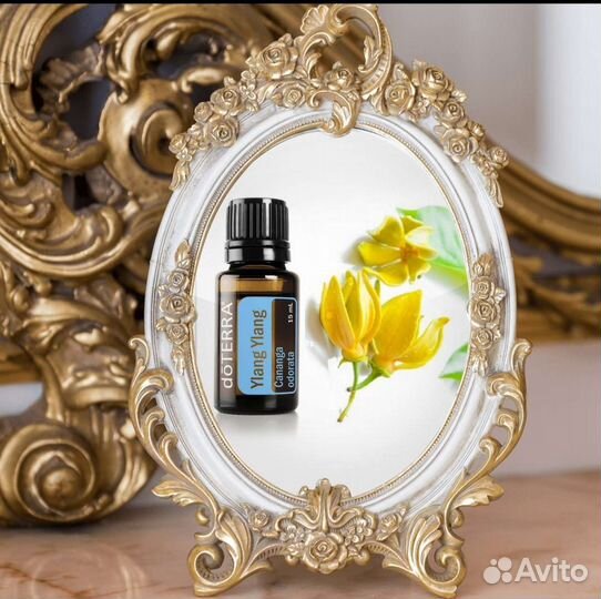 Иланг-иланг. Эфирное масло дотерра