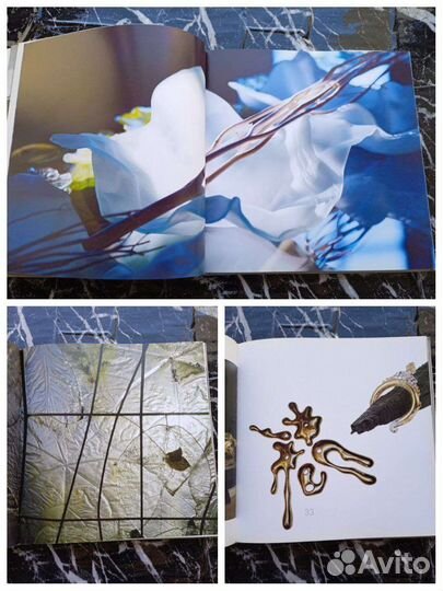 Книги о Serge Mansau