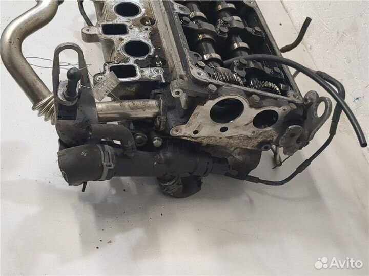 Головка блока (гбц) Volkswagen Golf Plus, 2010