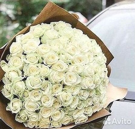 101 Роза Цветы Букеты 51 25 Роз Доставка