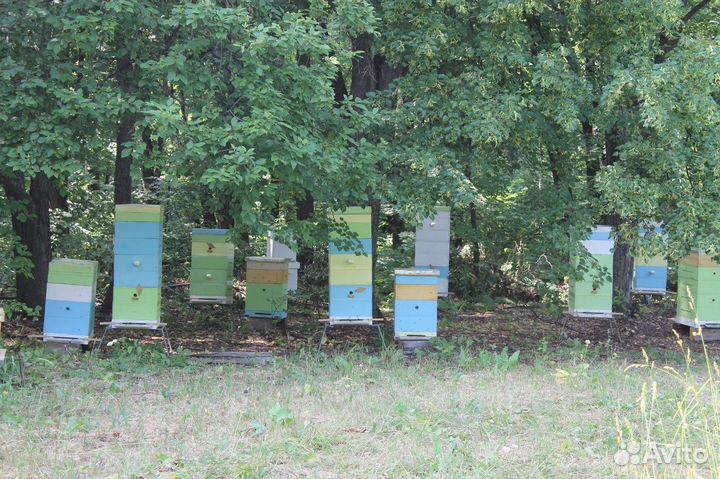 Пасека 3.7 Га