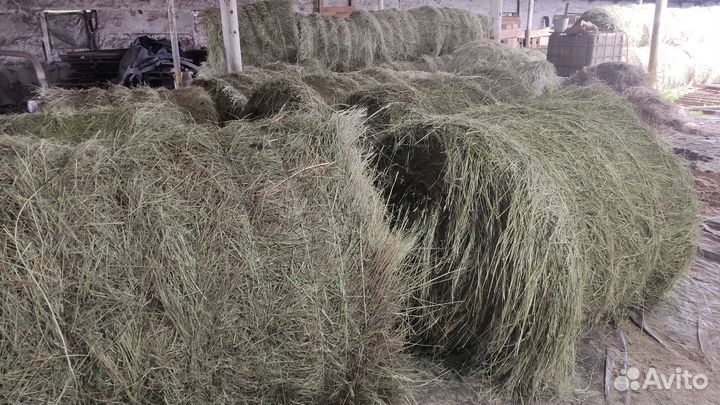 Солома и сено в мешках и рулонах