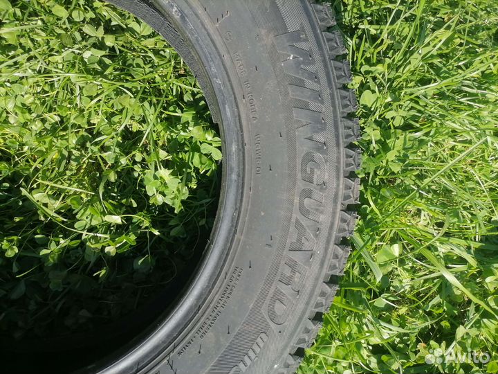 Roadstone Winguard WinSpike LTV 195/65 R15