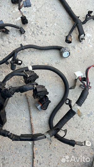 Моторная проводка Ниссан Теана 32 2.5