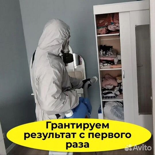 Дезинсекция/Уничтожения тараканов, клопов, плесени