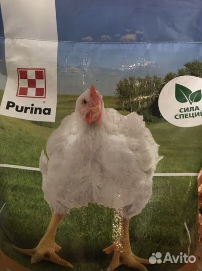 Комбикорм purina