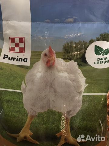 Комбикорм purina