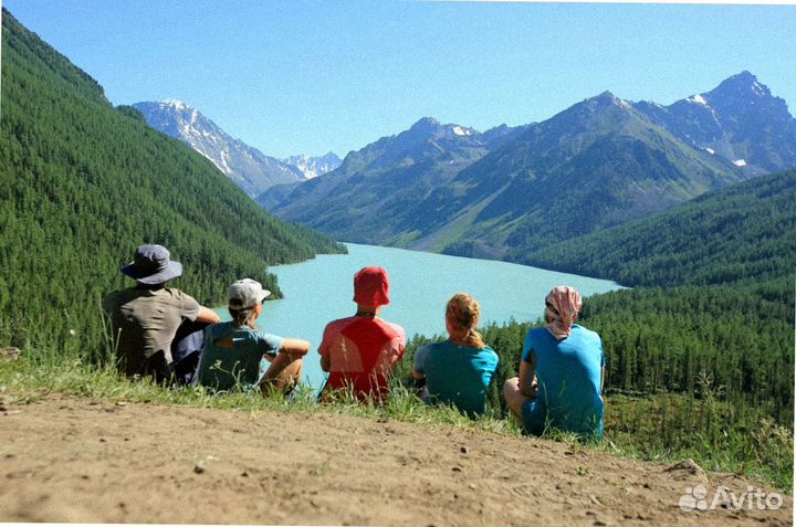 Алтай летом тур путевка экскурсия 6-8 дней