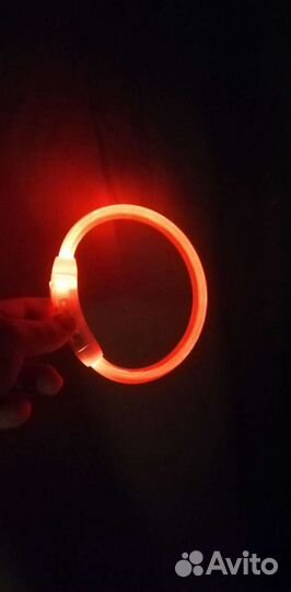 Ошейник для собак, электро аквариум, спорт чехол