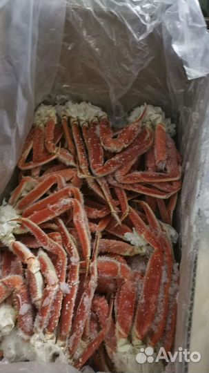 Краб Стригун коробки по 4кг
