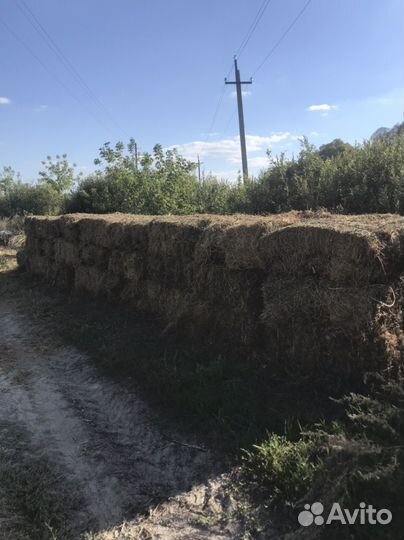 Сено люцерны в тюках