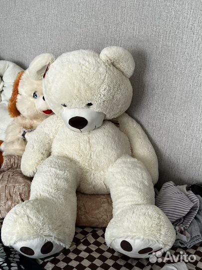 Большие плюшевые медведи