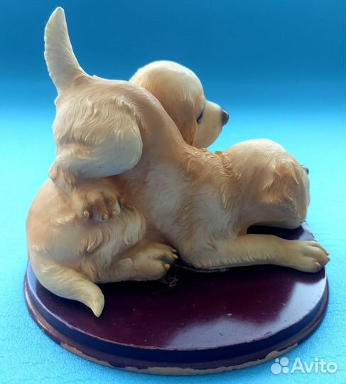 Лабрадорчики DA vinci