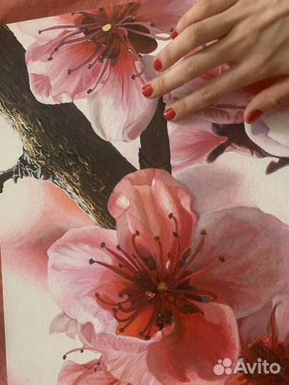 Новая Картина Сакура, Япония 30х40 холст