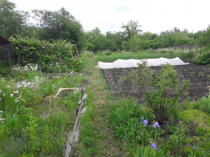 Дача 14 м² на участке 12,5 сот.