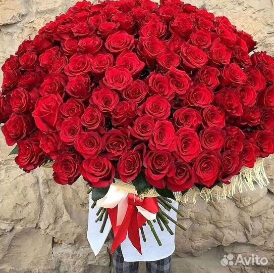 Высокие Розы с Доставкой