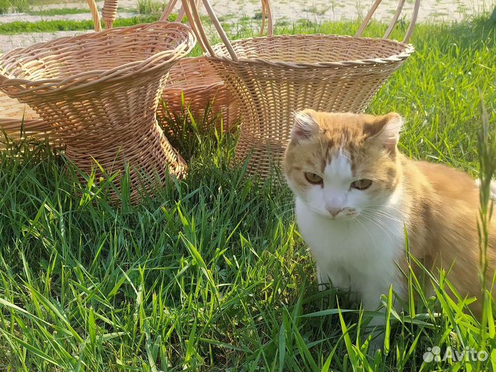 Корзина плетеная