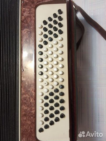 Баян Огонек 2