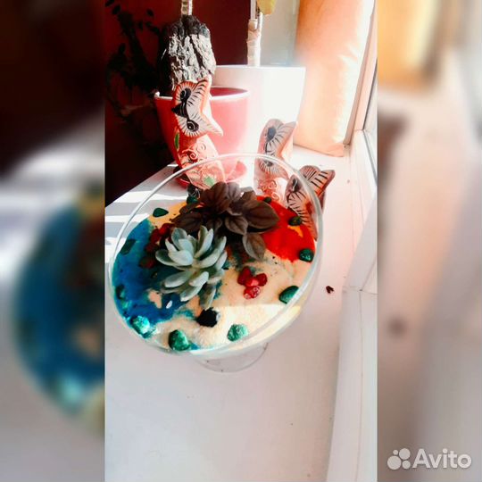 Флорариум суккуленты