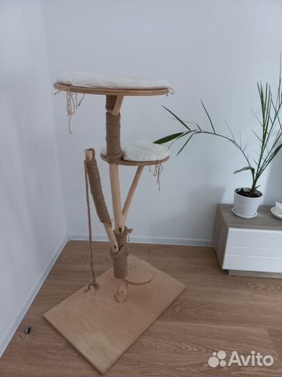 Когчеточка