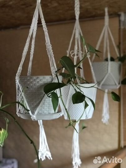 Кашпо для цветов