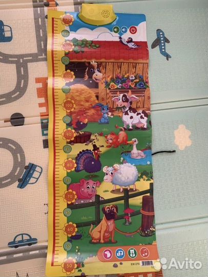 Ростомер интерактивный