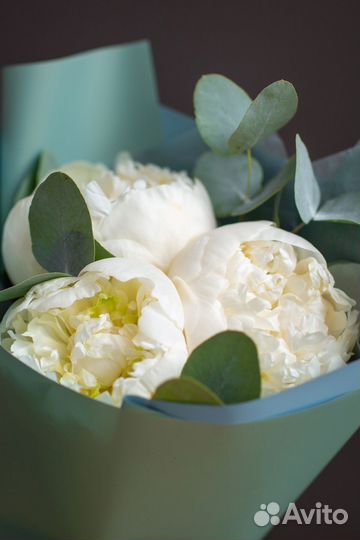 Букет из 3 белых пионов с эвкалиптом