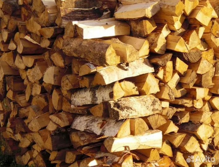 Дрова береза