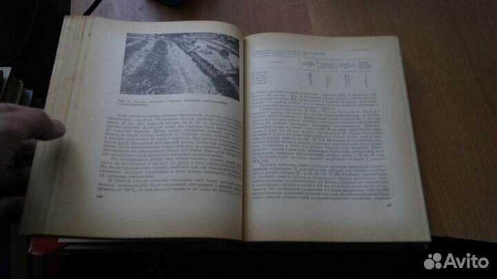 Уинклер А.Д. Виноградарство США. Перевод с англ