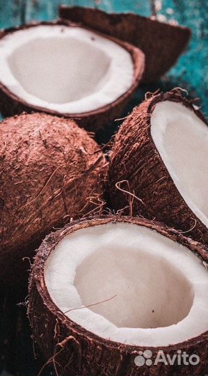 Репетитор по русскому языку (егэ,огэ,впр)