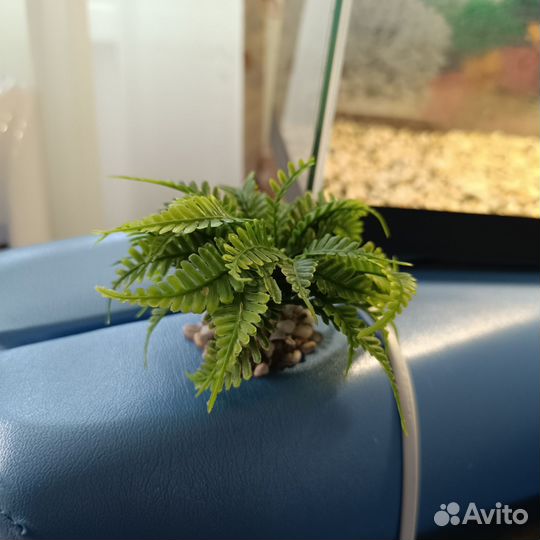 Аквариум с фильтром и светом