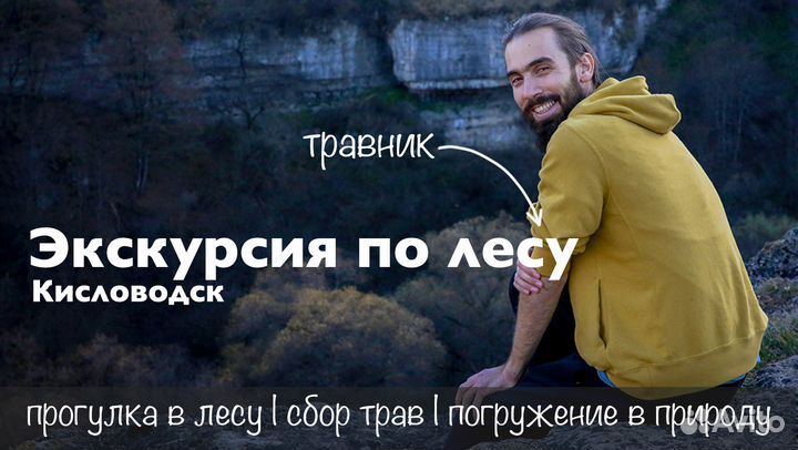 Экскурсия по деревьям и лесу