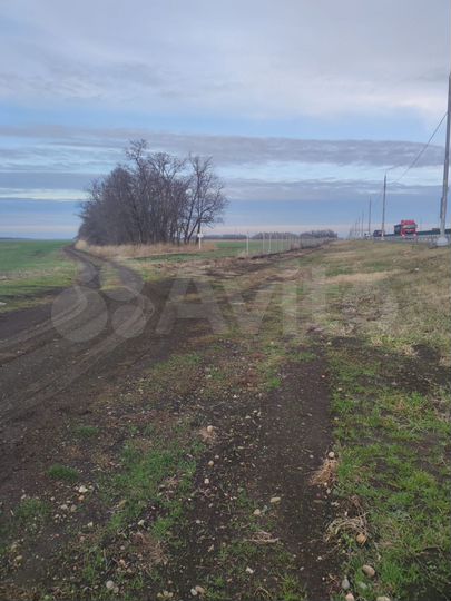 Участок 6,2 га (СНТ, ДНП)