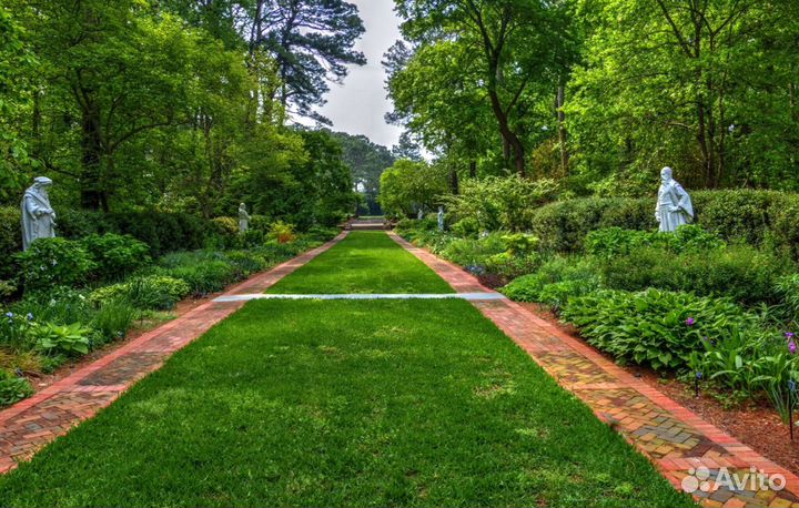 Газон рулонный с укладкой