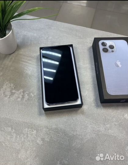 iPhone 13 Pro Max, 256 ГБ