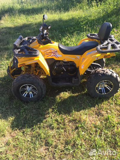 Avantis hunter 200 big premium