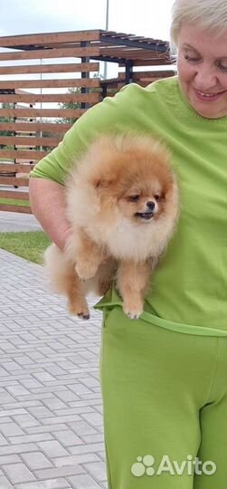 Крутая девочка 5 месяцев