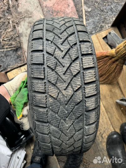 Windforce Snowblazer 195/55 R15