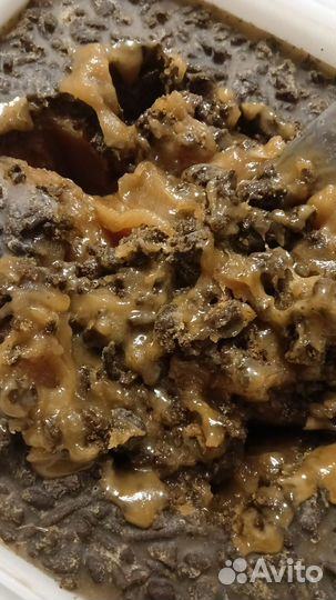 Мёд с мумиё, живицей, пергой, прополисом, холстики