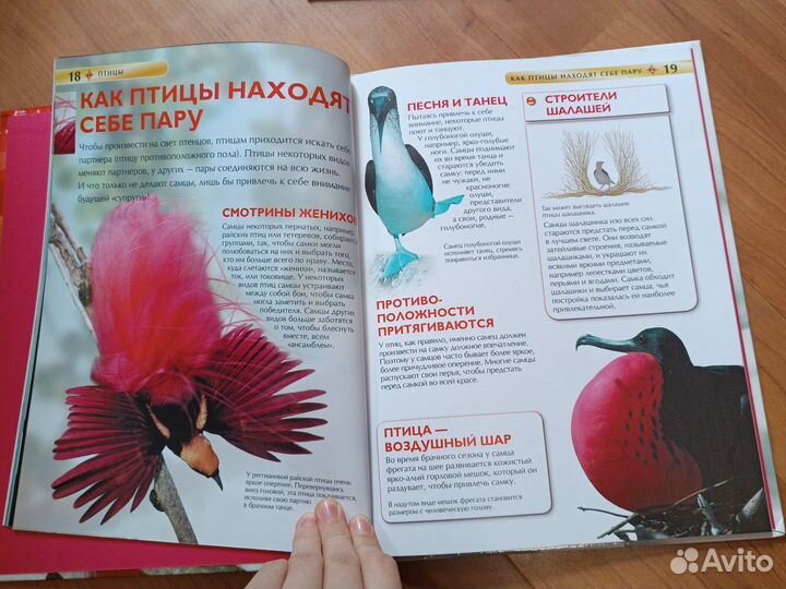 Детские энциклопедии про птиц и животных