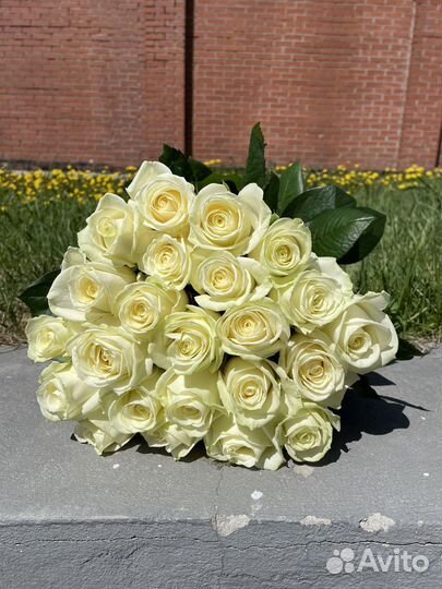 Белая роза Голландия. Букеты из роз