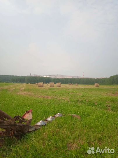 Продам сено в тюках