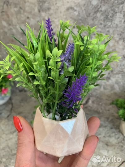 Гипсовое кашпо с зеленью