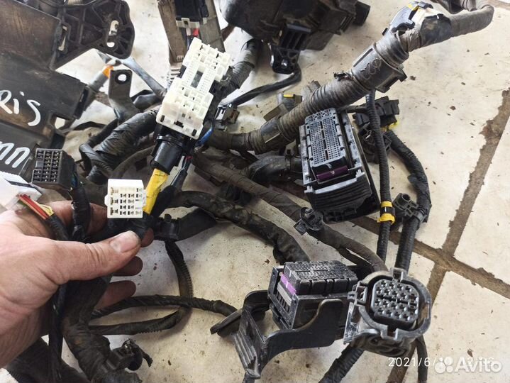 Проводка моторная в сборе 1,6 АКПП hyundai solaris