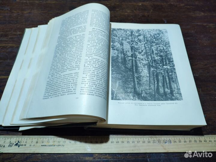 Ткаченко М.Е. Общее лесоводство 1952