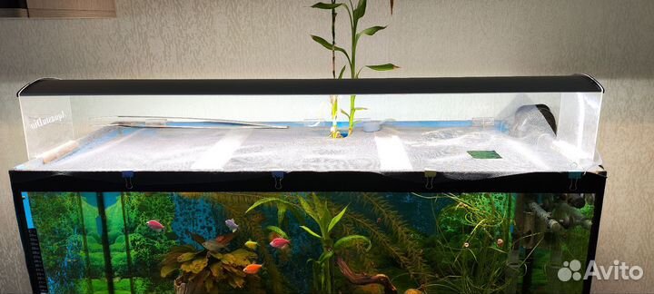 Аквариум